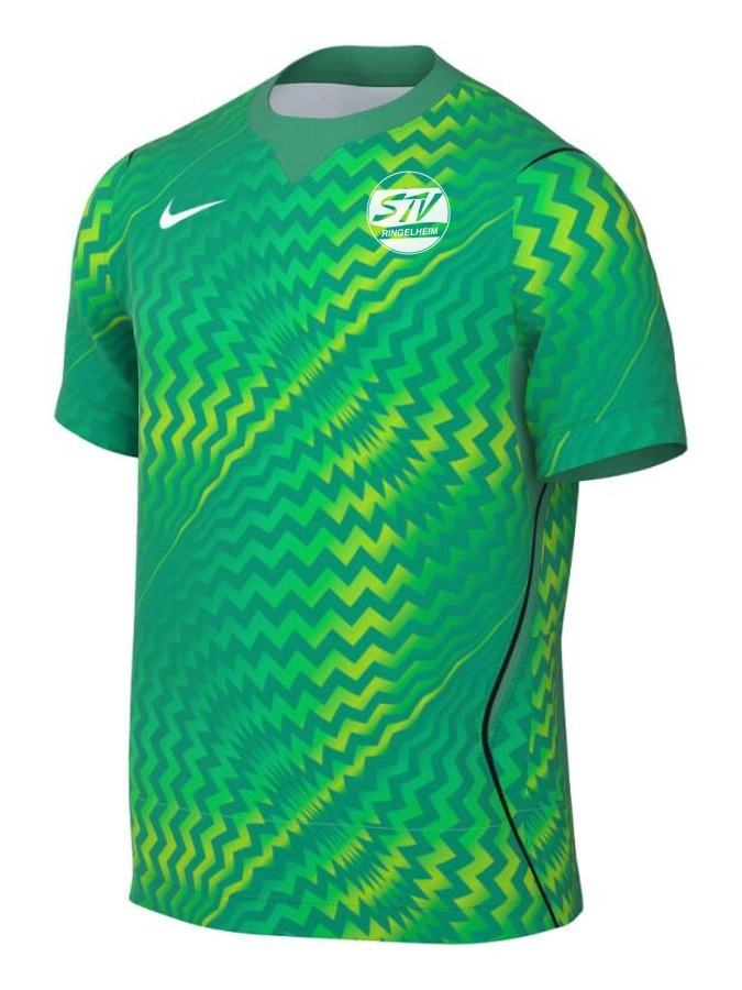 Nike Gardien VI Torwart Trikot