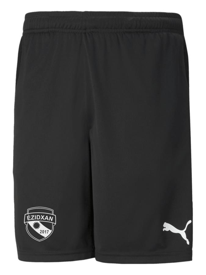 PUMA teamRISE Training Shorts