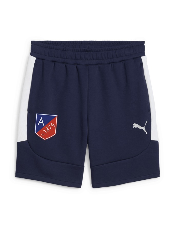 PUMA teamEVOSTRIPE Shorts