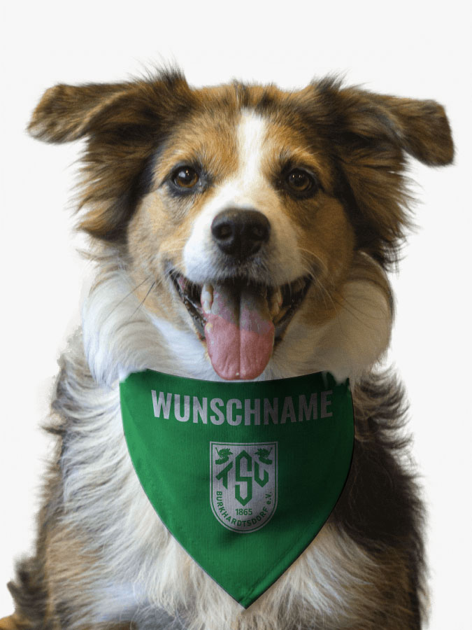 Hundehalstuch