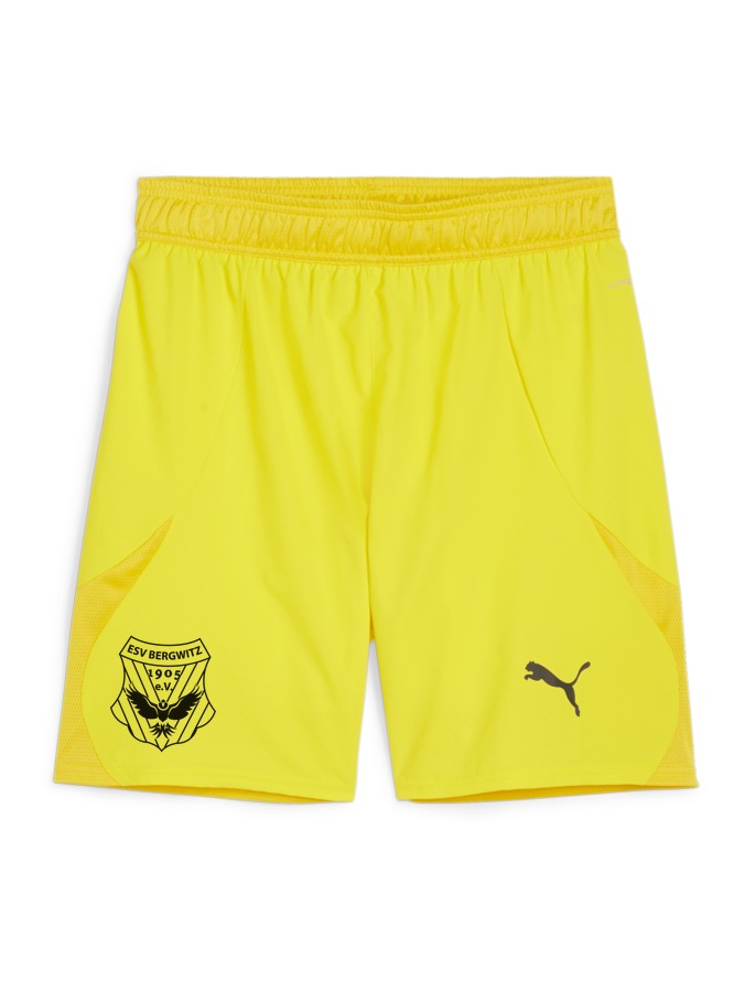 PUMA teamFINAL Shorts