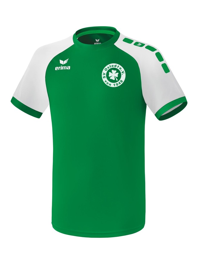 Erima Zenari 3.0 Trikot