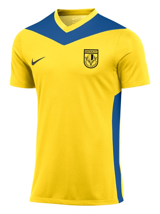 Nike Park Derby IV Trikot Herren