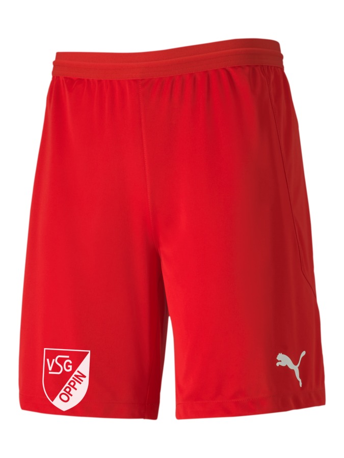 PUMA teamFINAL 21 Knit Shorts