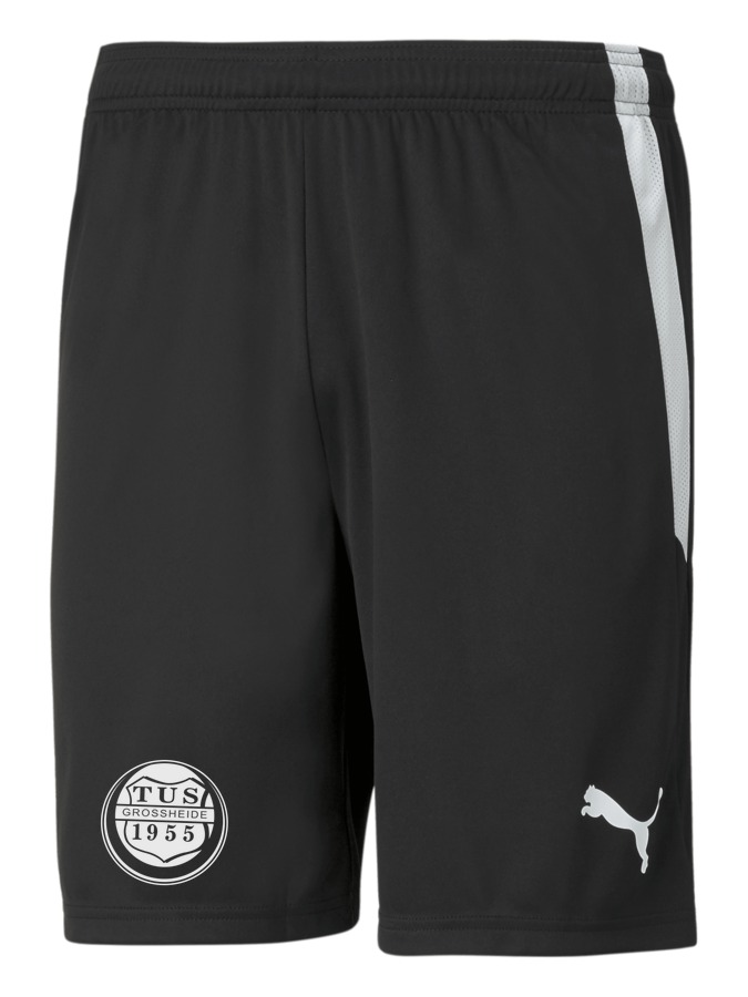 PUMA teamLIGA Shorts
