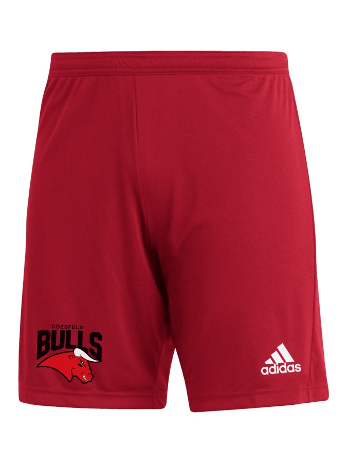 adidas Entrada 22 Shorts