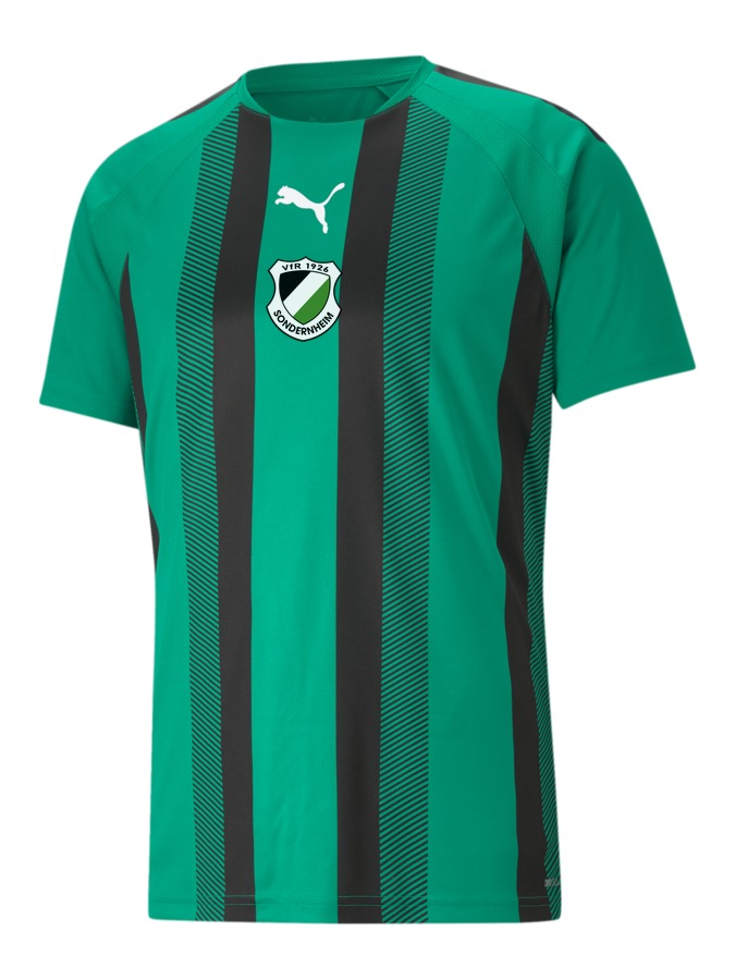 PUMA teamLIGA Striped Trikot