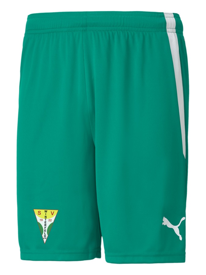 PUMA teamLIGA Shorts