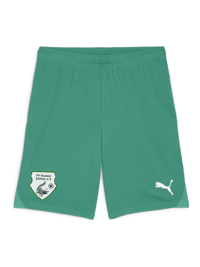 PUMA teamGOAL Shorts