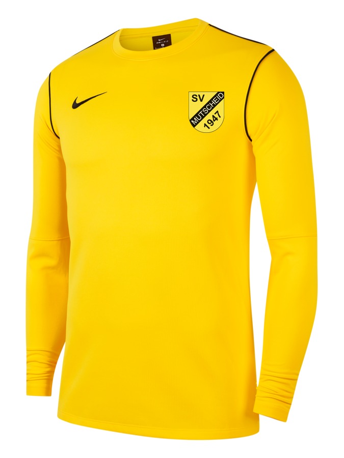 Nike Park 20 Langarm Top