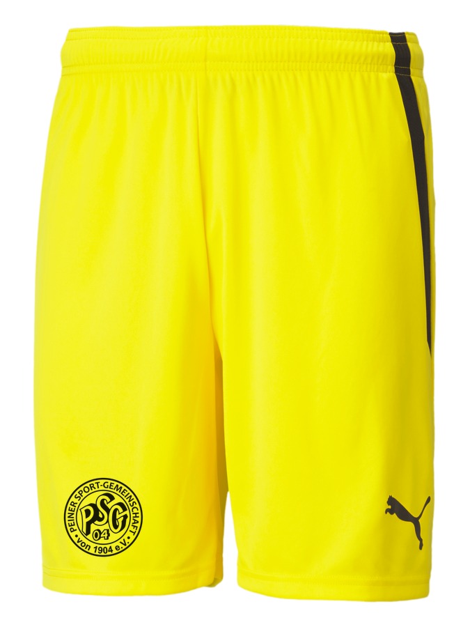 PUMA teamLIGA Shorts