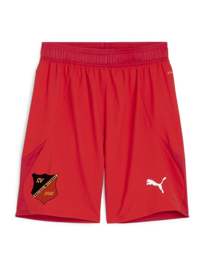 PUMA teamFINAL Shorts