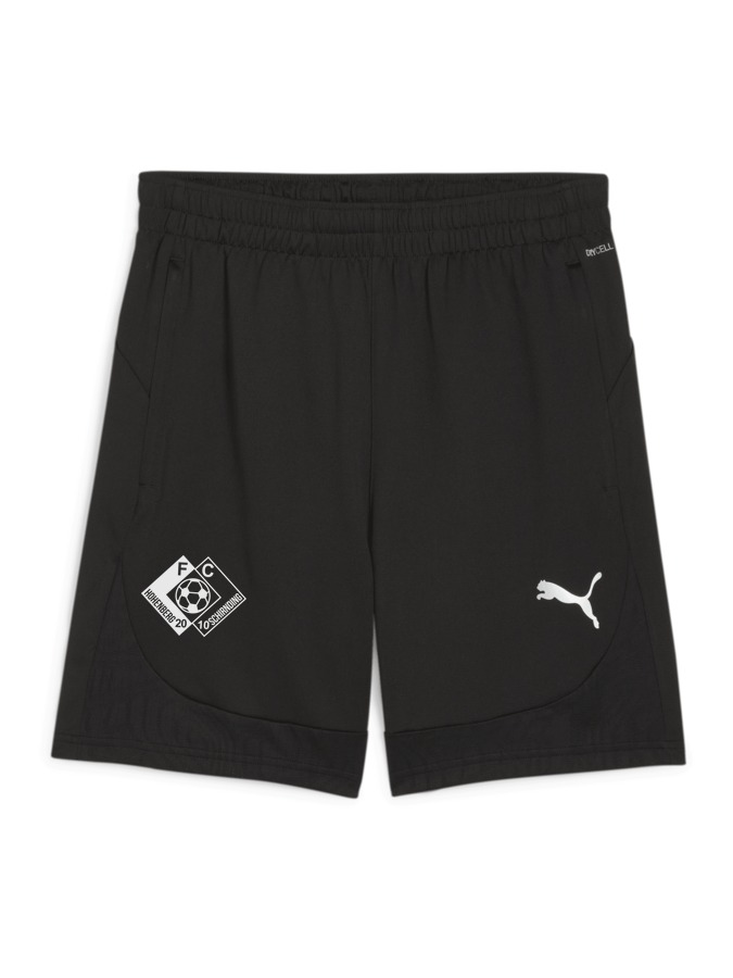 PUMA teamFINAL Training Shorts