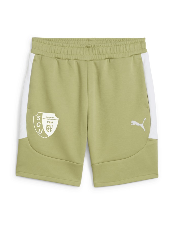 PUMA teamEVOSTRIPE Shorts