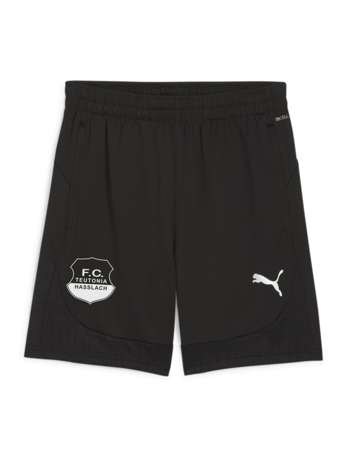 PUMA teamFINAL Training Shorts