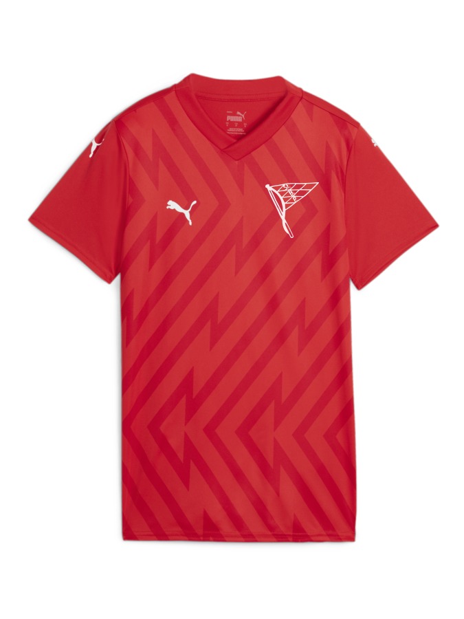 PUMA teamGLORY Trikot Damen