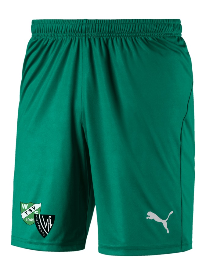 PUMA LIGA Shorts Core