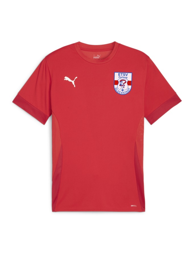 PUMA teamGOAL Matchday Trikot
