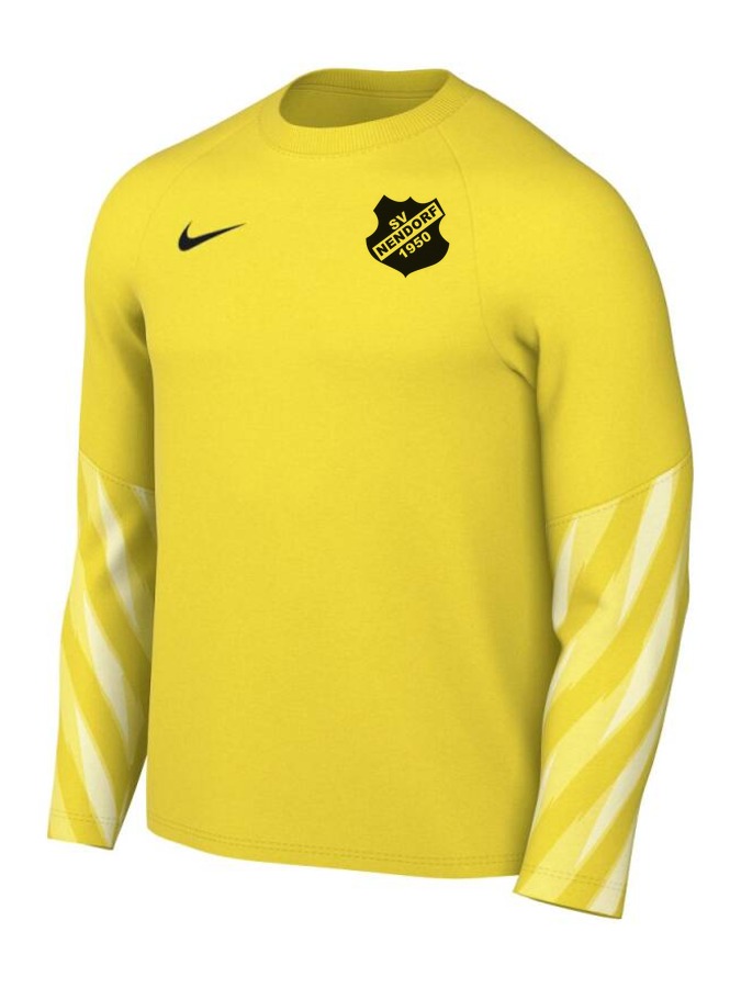 Nike Dri-FIT Park V Torwart Trikot Langarm