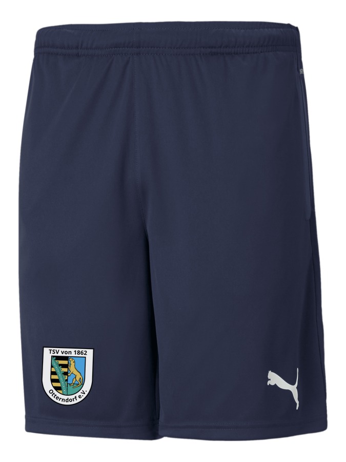 PUMA teamRISE Training Shorts