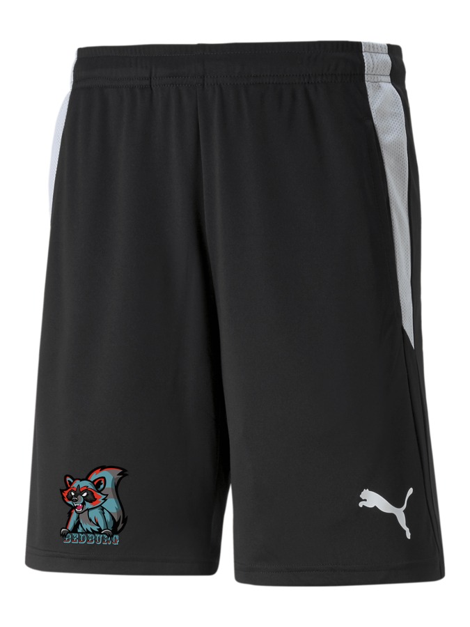 PUMA teamLIGA Referee Shorts