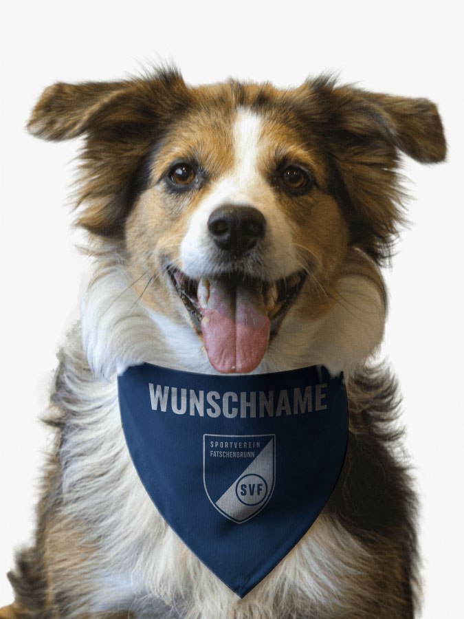 Hundehalstuch