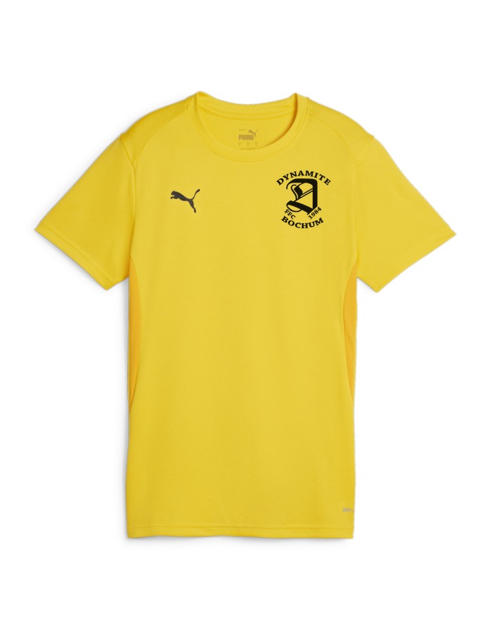 PUMA teamGOAL Trikot Damen