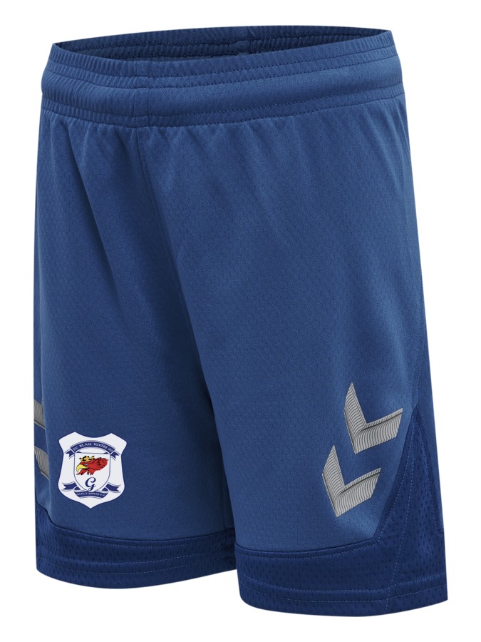 Hummel Lead Trainingsshorts