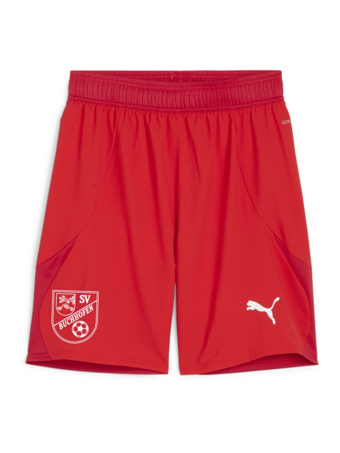 PUMA teamFINAL Shorts
