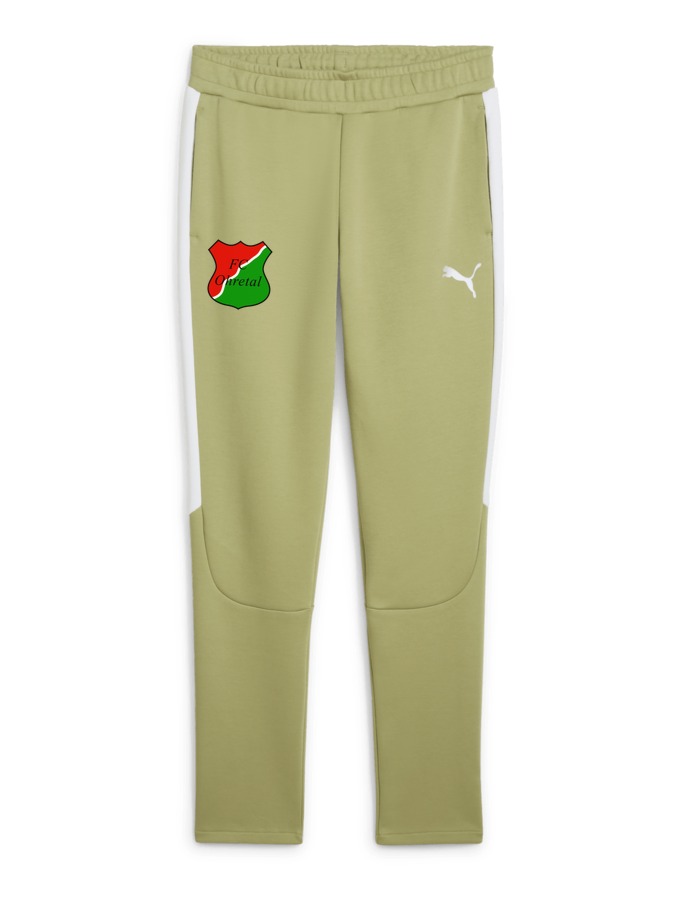 PUMA teamEVOSTRIPE Hose