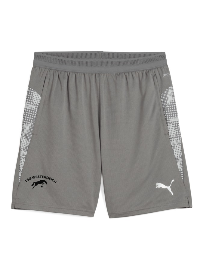 PUMA teamCUP Training Shorts