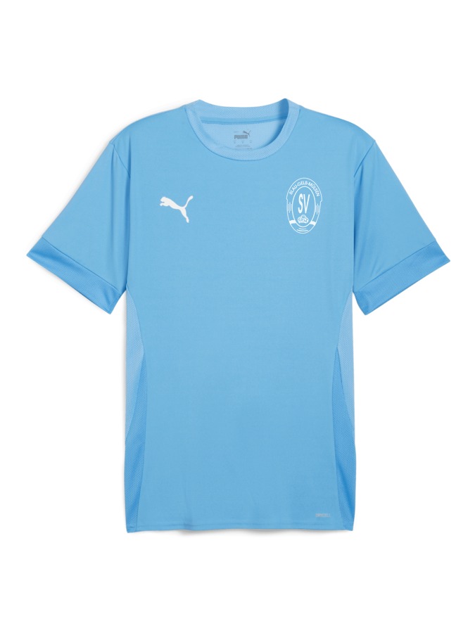 PUMA teamGOAL Matchday Trikot