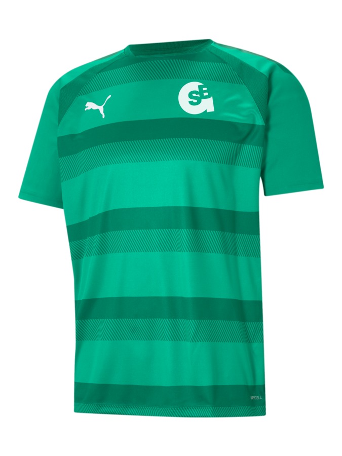 PUMA teamVISION Trikot