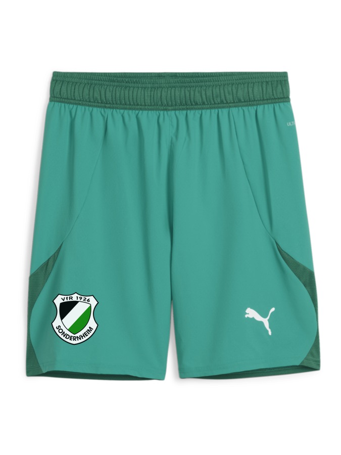 PUMA teamFINAL Shorts