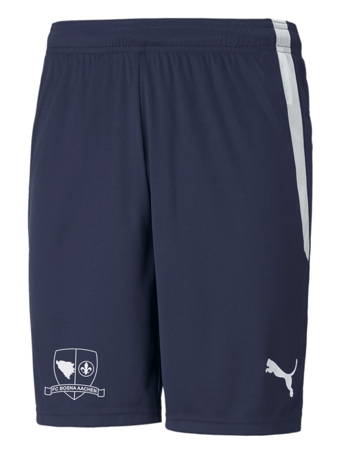 PUMA teamLIGA Shorts