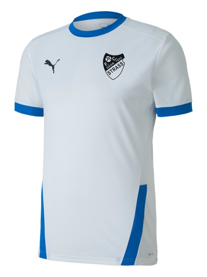PUMA teamGOAL 23 Trikot