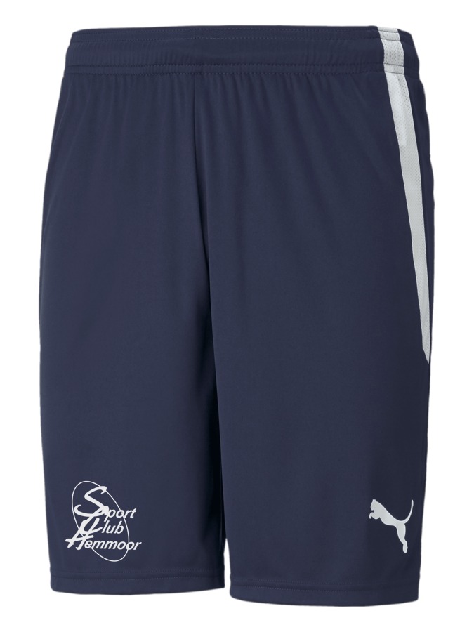 PUMA teamLIGA Shorts