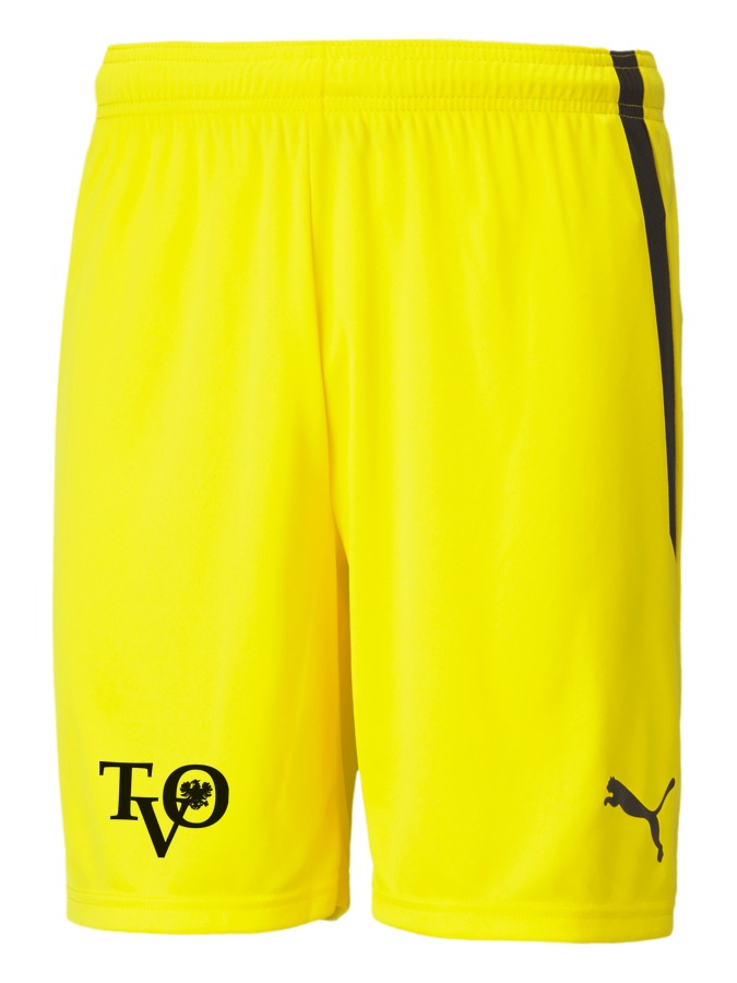 PUMA teamLIGA Shorts