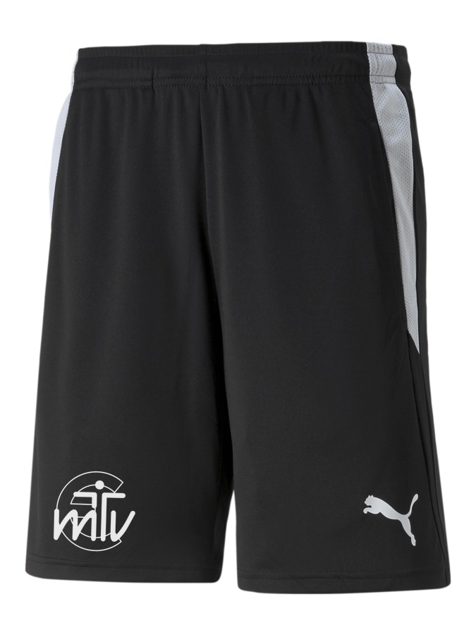 PUMA teamLIGA Referee Shorts