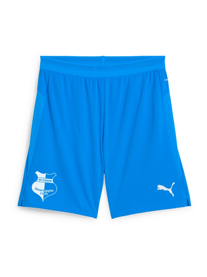 PUMA teamCUP Shorts