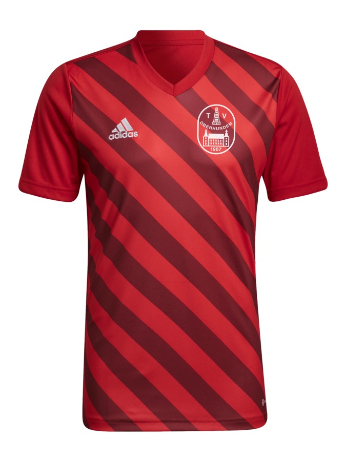 adidas Entrada 22 GFX Trikot