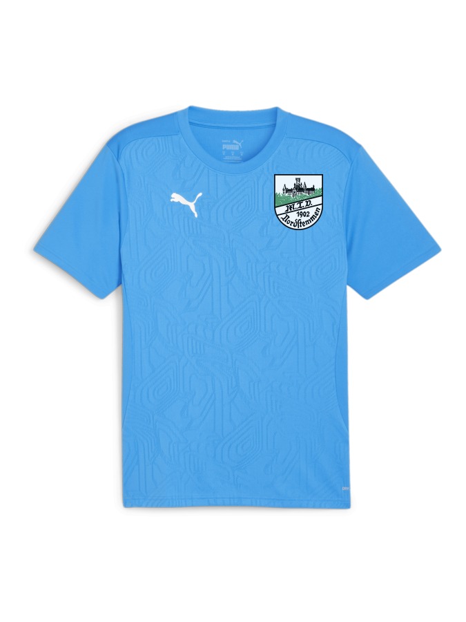 PUMA teamFINAL Trainingsshirt