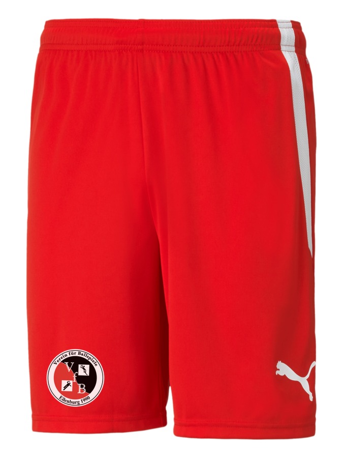 PUMA teamLIGA Shorts