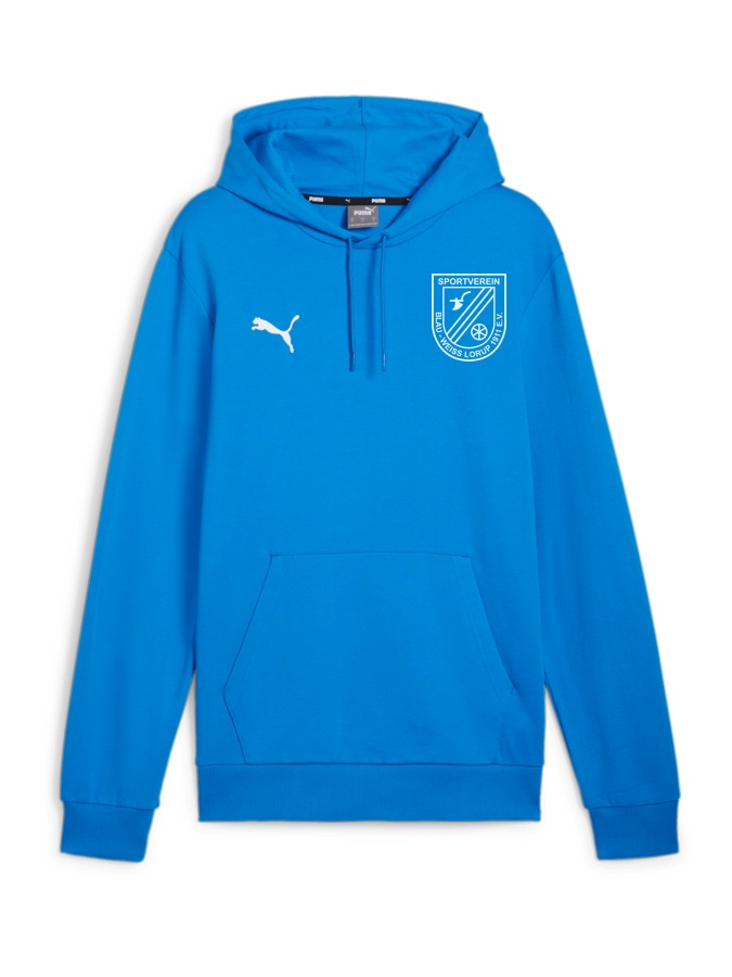 PUMA teamGOAL Casuals Hoody