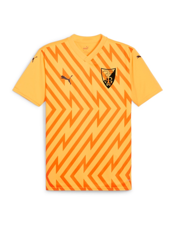 PUMA teamGLORY Trikot