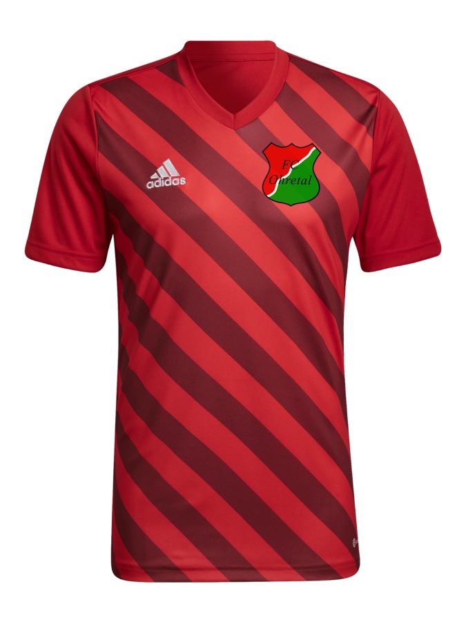 adidas Entrada 22 GFX Trikot