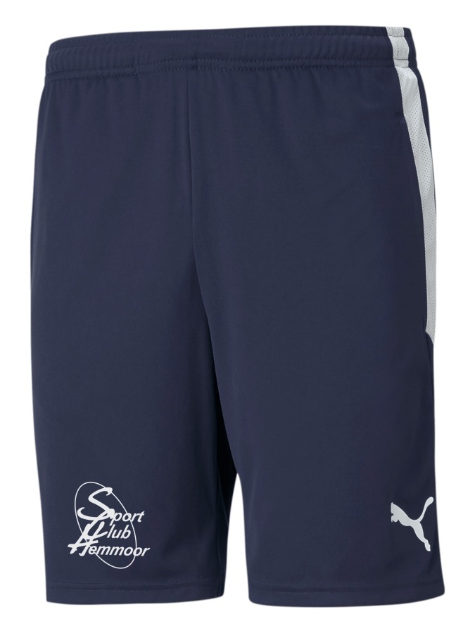 PUMA teamLIGA Training Shorts