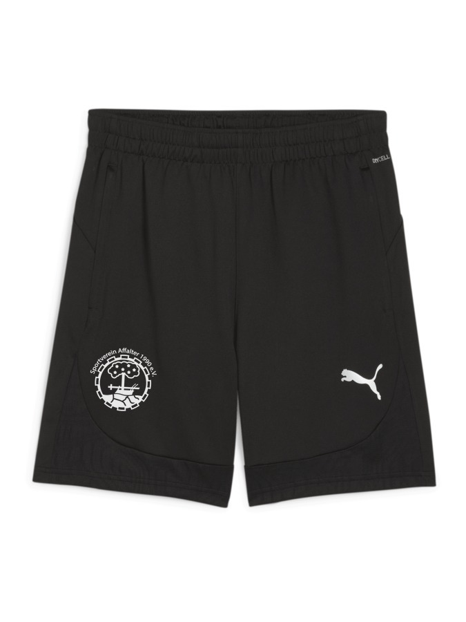 PUMA teamFINAL Training Shorts