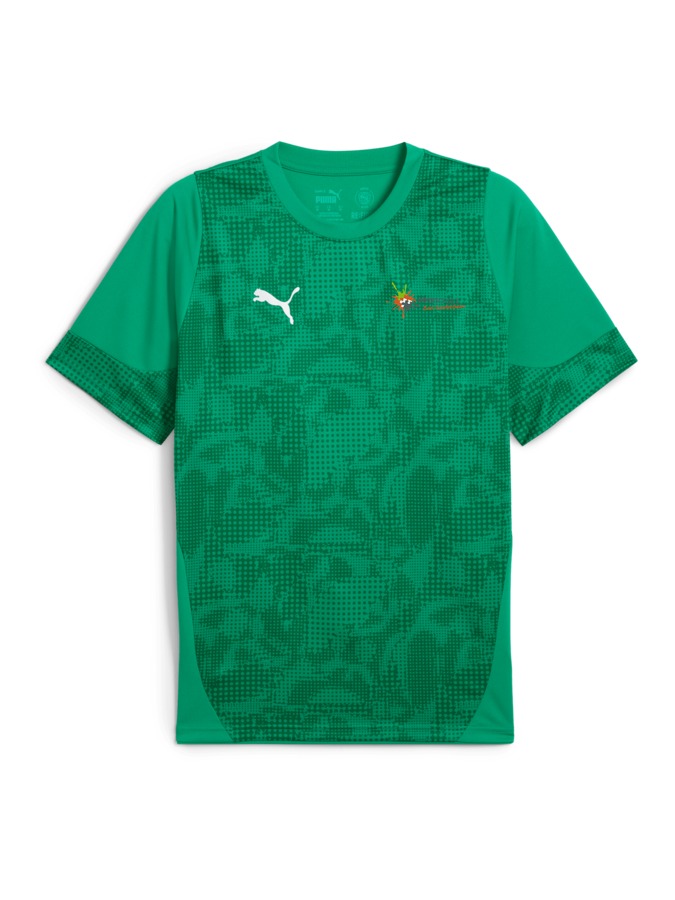 PUMA teamCUP Trainingsshirt