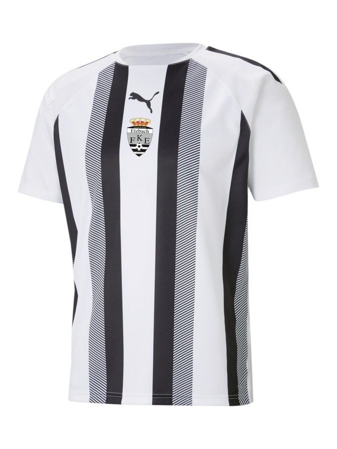 PUMA teamLIGA Striped Trikot